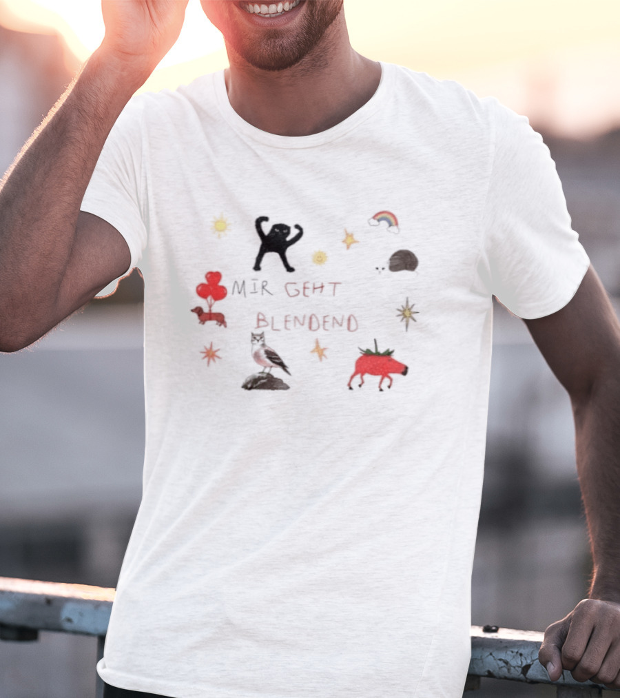 Mir Geht Es Blendend Cat Snail Strawberry Pig With Rainbow And Sun Doodles T-Shirt