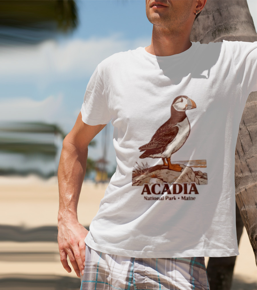 Acadia National Park Maine Puffin Standing On Rock T-Shirt