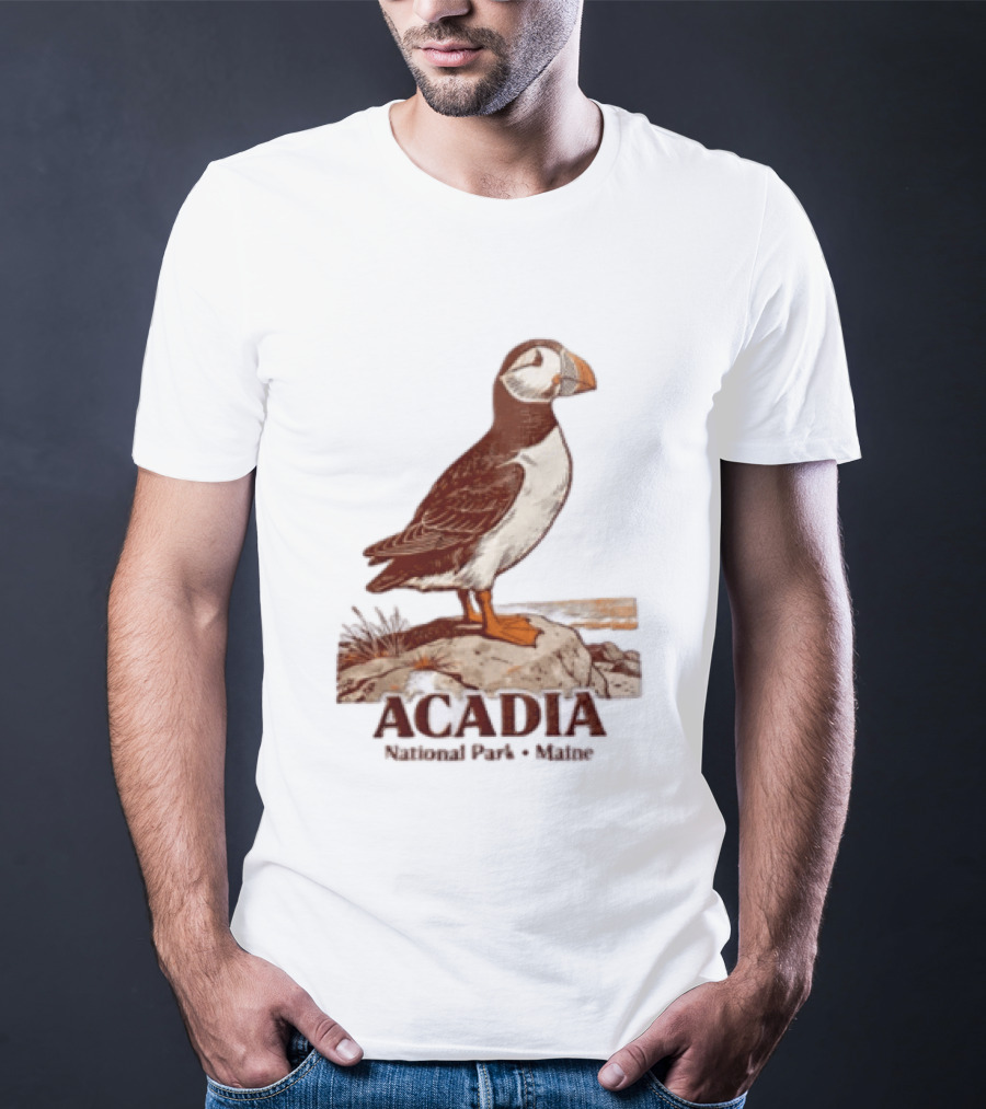Acadia National Park Maine Puffin Standing On Rock T-Shirt