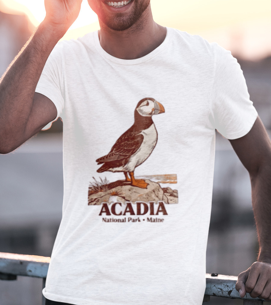 Acadia National Park Maine Puffin Standing On Rock T-Shirt