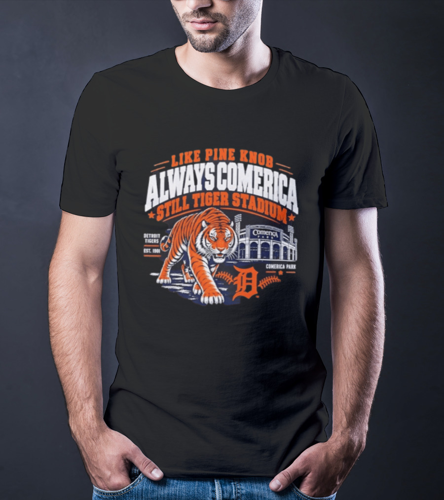 Detroit Tigers 2026 Pine Knob Comerica Tiger Stadium Est 1901 Iconic Baseball Tiger T-Shirt