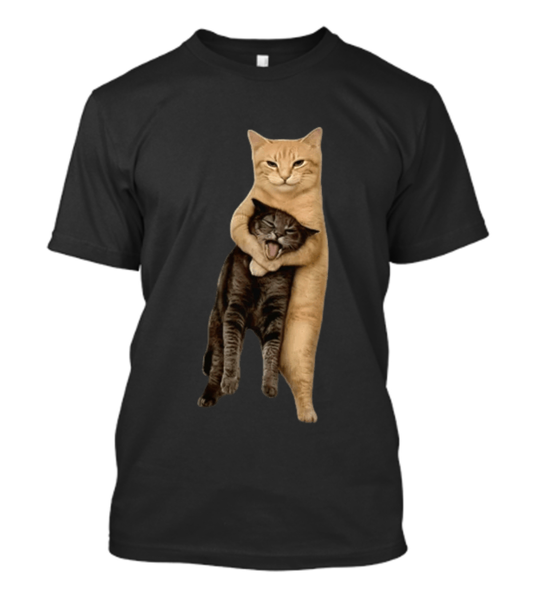 Orange Cat Hugging Grey Cat T-Shirt