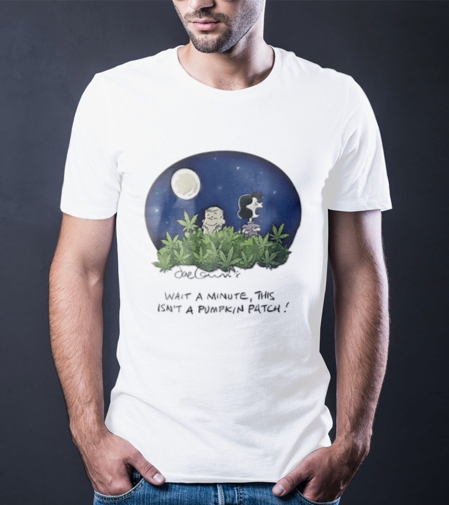 Peanuts Wait A Minute This Isn't A Pumpkin Patch Moon Night Scene Charlie Brown Lucy T-Shirt