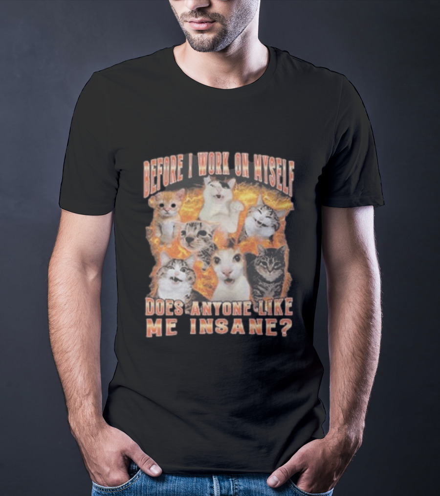 Before I Work On Myself Does Anyone Like Me Insane Cats T-Shirt
