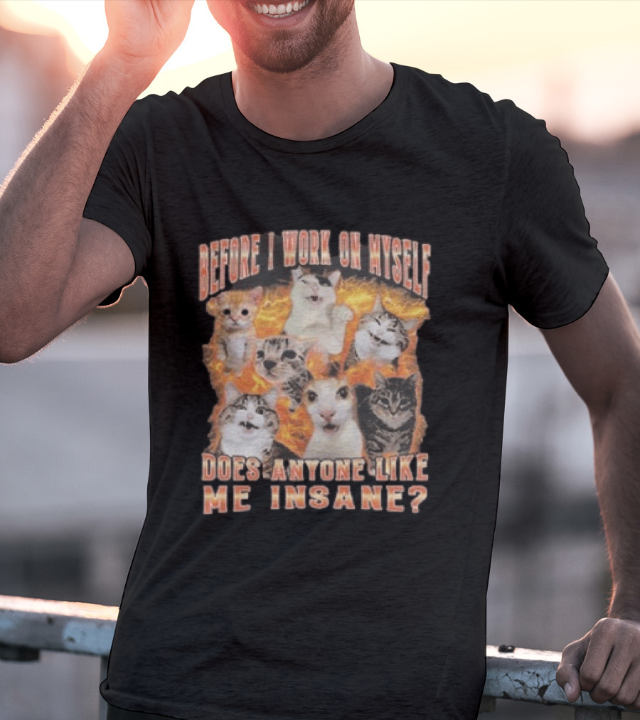 Before I Work On Myself Does Anyone Like Me Insane Cats T-Shirt