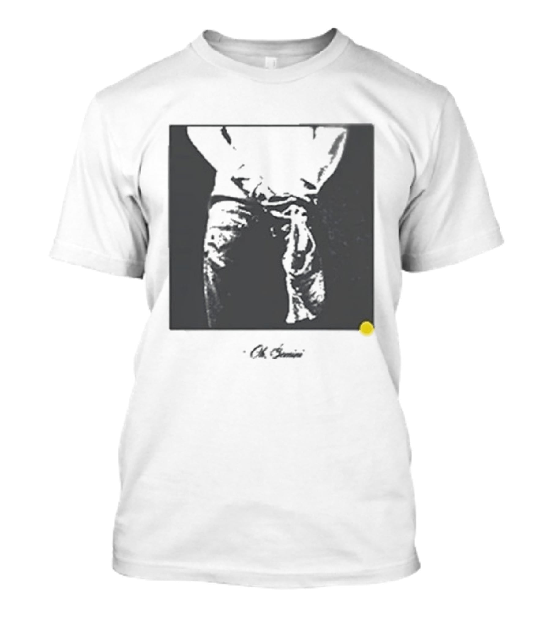 Oh Gemini Role Model Photo T-Shirt