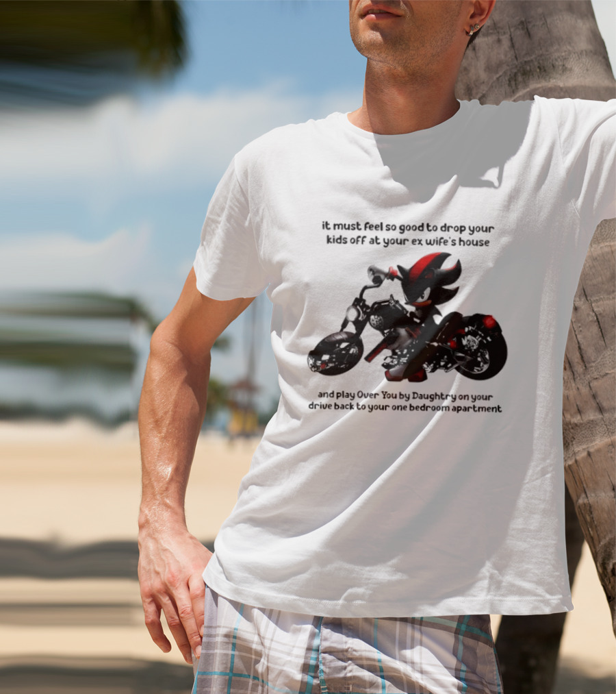 Shadow The Hedgehog Meme It Must Feel So Good To Drop Your Kids Off At Your Ex Wife's House And Play Over You By Daughtry T-Shirt