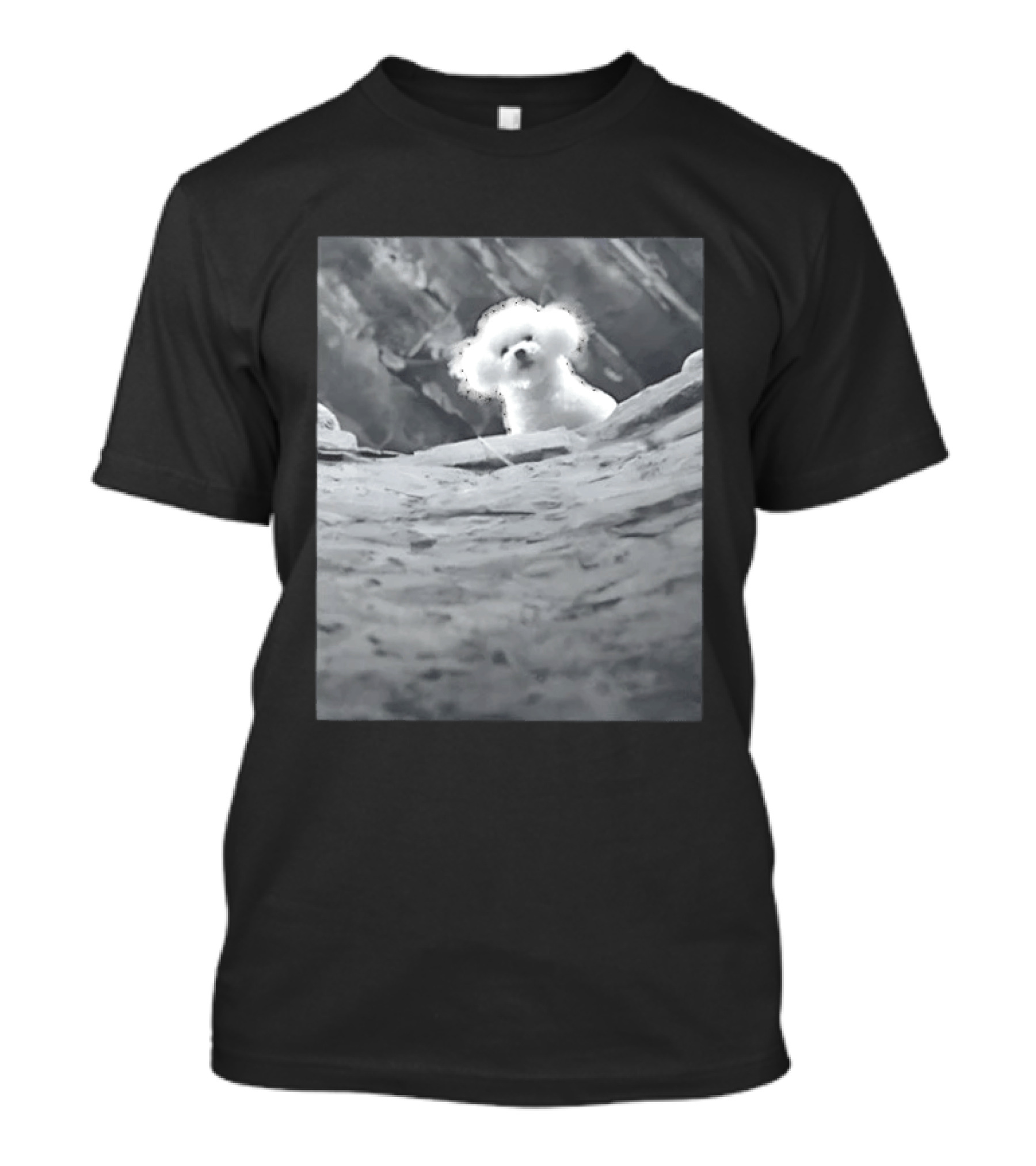 Peeking Fluffy Dog In Rocky Landscape T-Shirt