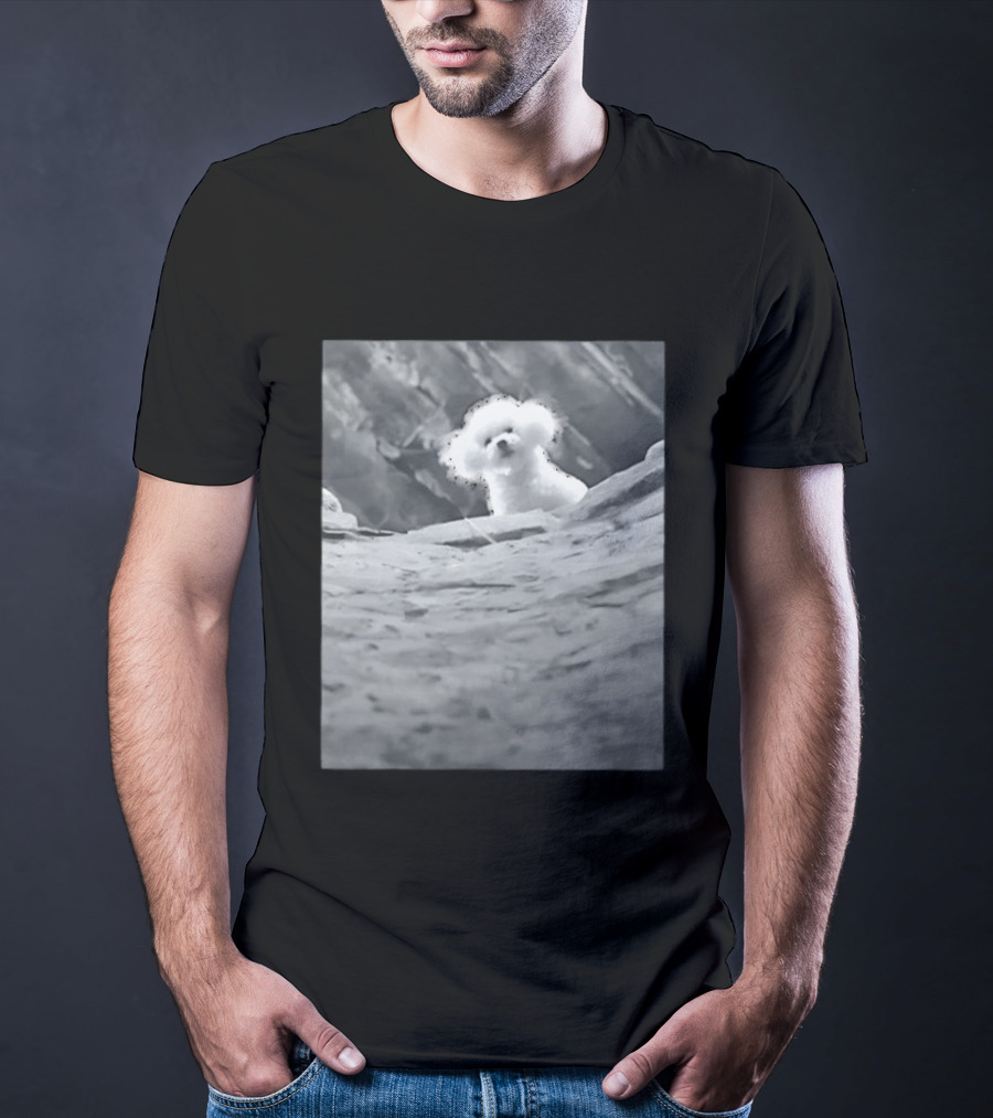 Peeking Fluffy Dog In Rocky Landscape T-Shirt