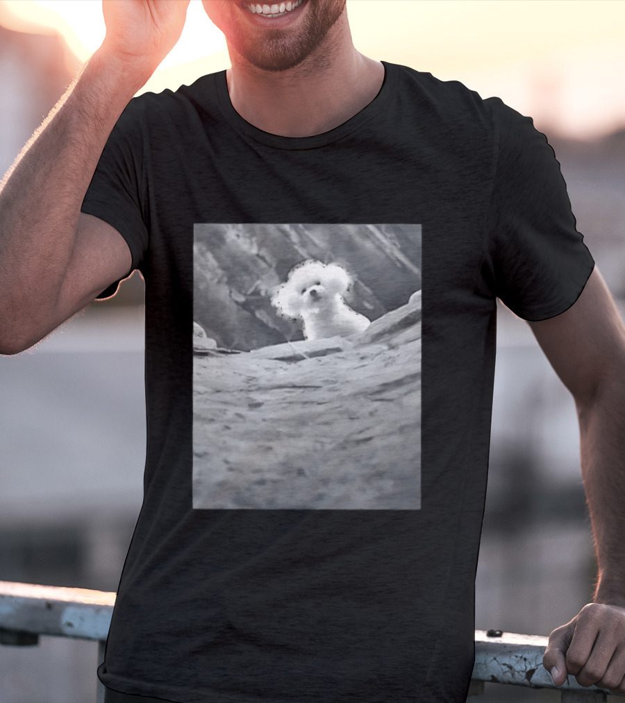 Peeking Fluffy Dog In Rocky Landscape T-Shirt