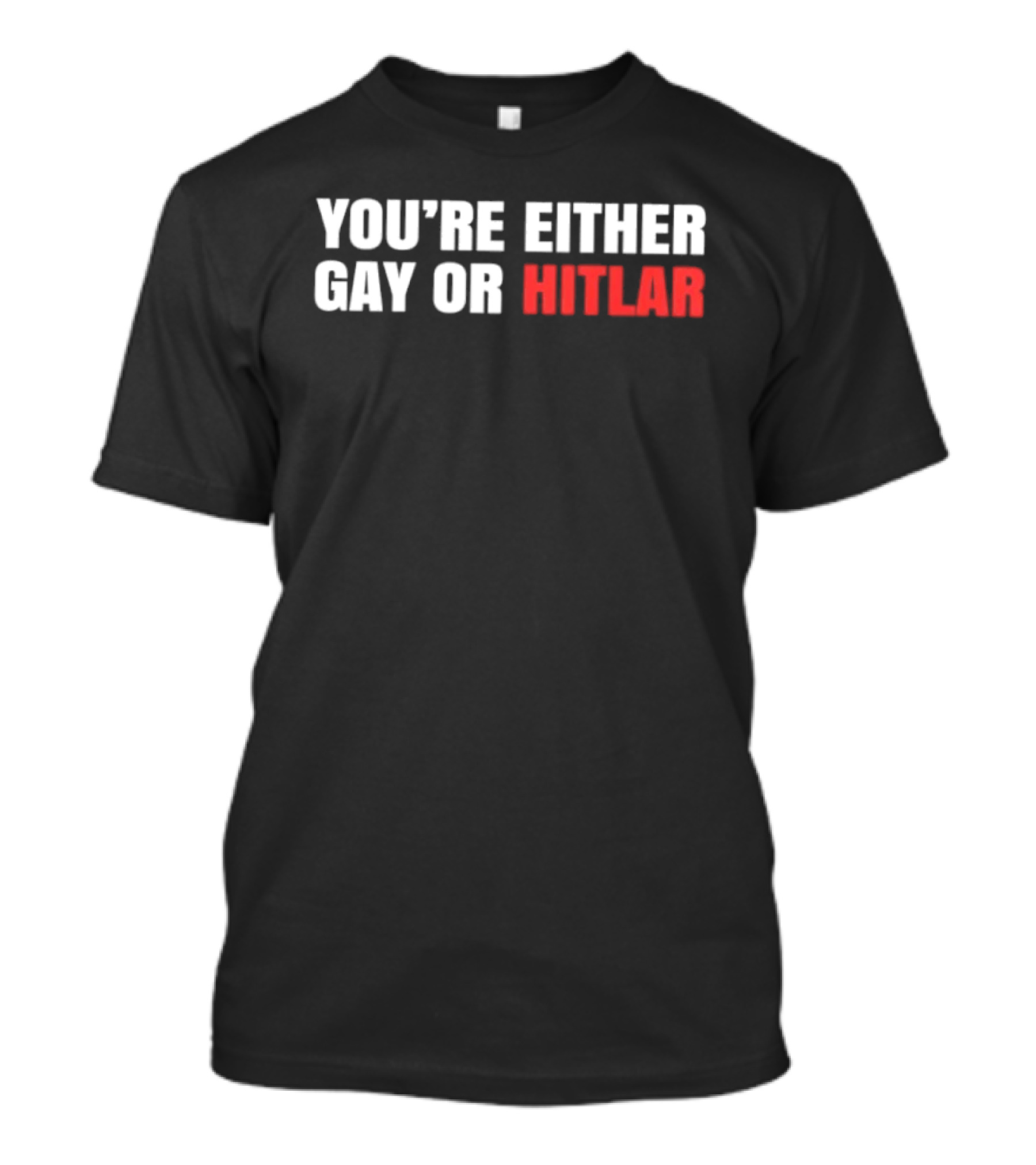 You're Either Gay Or Hitler Text Contrast T-Shirt