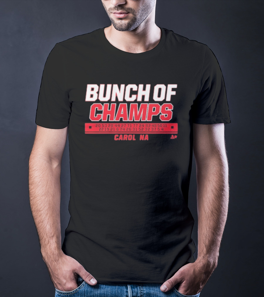 Bunch Of Champs Carolina Hockey Numbers Series T-Shirt