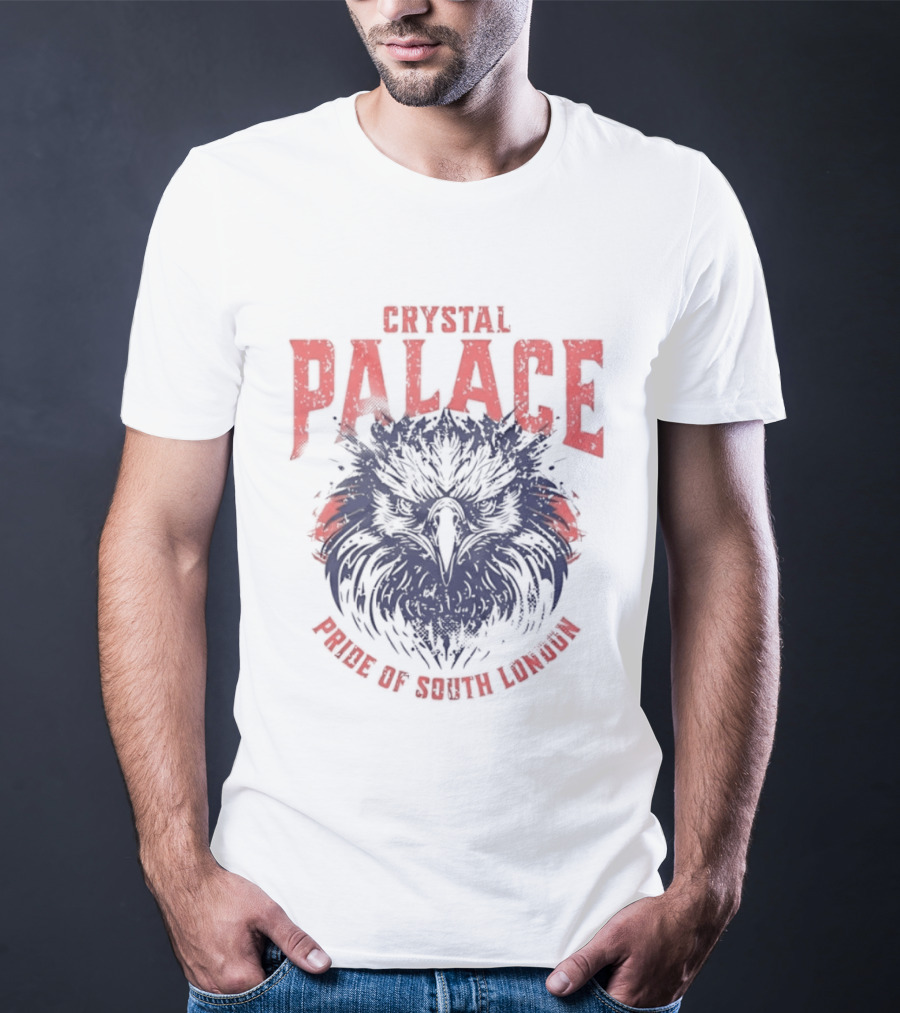 Crystal Palace Power Of South London Pride Eagle T-Shirt