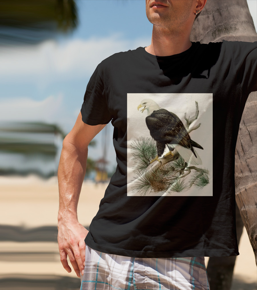Roger Tory Peterson Bald Eagle Illustration On Stone Background 2026 T-Shirt