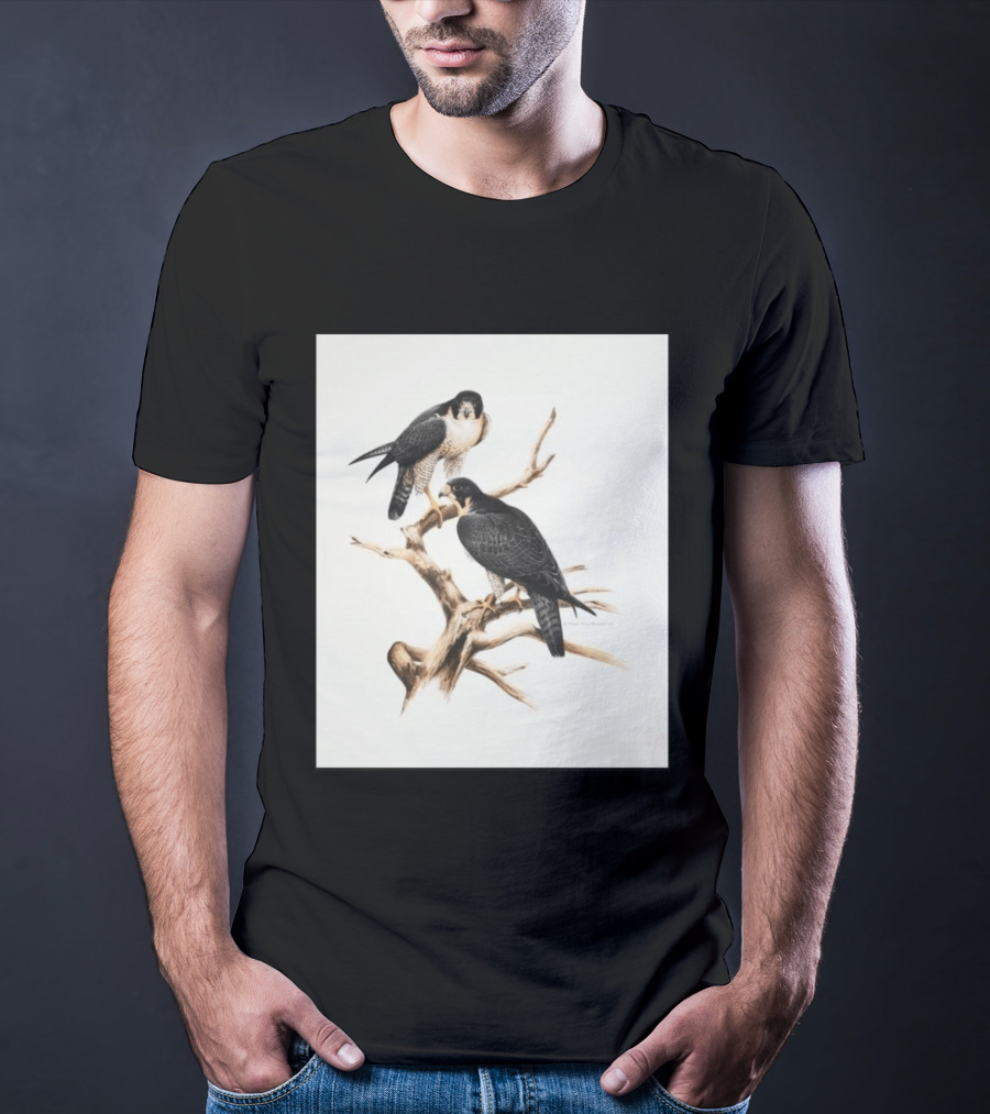 Roger Tory Peterson Peregrines 2026 Adult Ash Bird T-Shirt