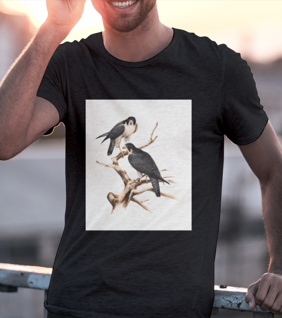 Roger Tory Peterson Peregrines 2026 Adult Ash Bird T-Shirt