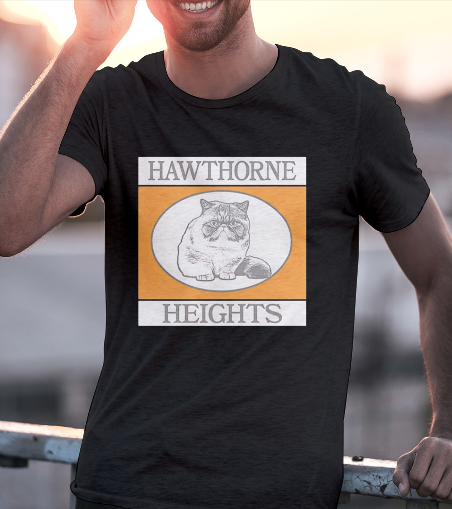 Hawthorne Heights Victorious Kitty Emo Band Feline T-Shirt