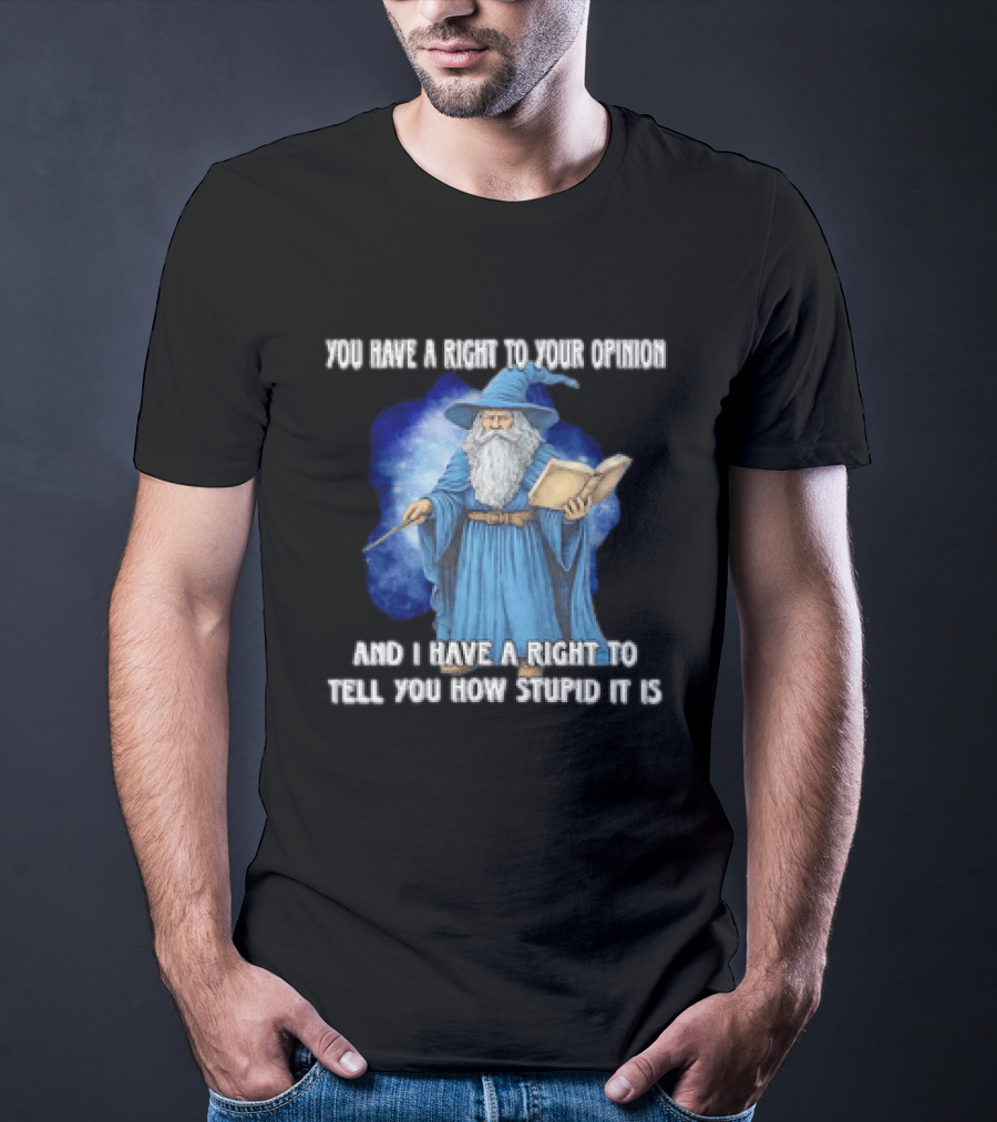 Wizard You Have A Right To Your Opinion And I Have A Right To Tell You How Stupid It Is T-Shirt
