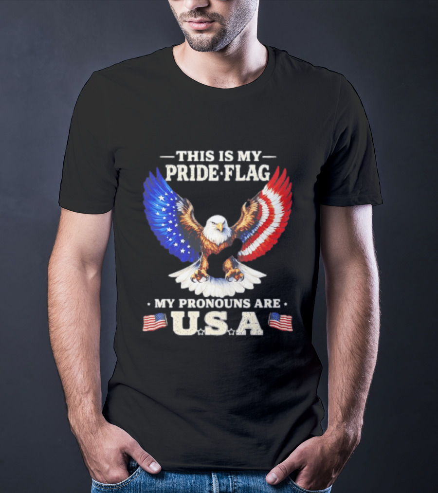 This Is My Pride Flag American Eagle My Pronouns Are USA T-Shirt