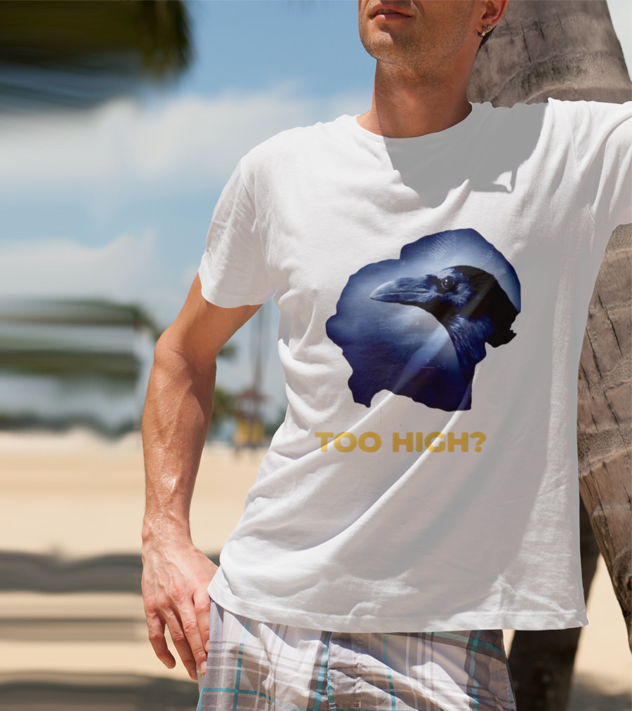 An IQ Too High Raven Sarcasm Meme T-Shirt