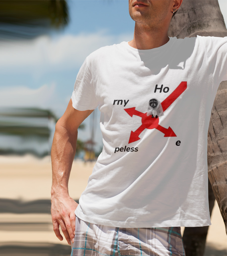 Raccoon Meme Ho Rny Peless Compass T-Shirt