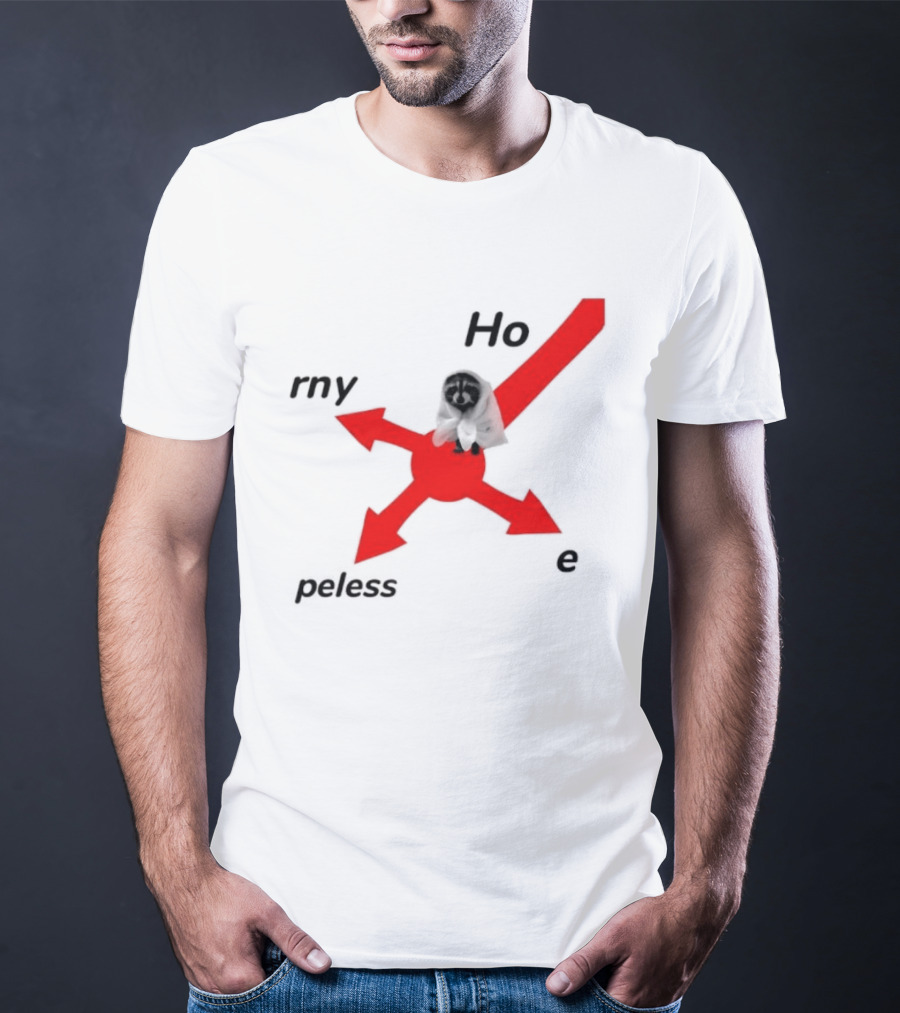 Raccoon Meme Ho Rny Peless Compass T-Shirt