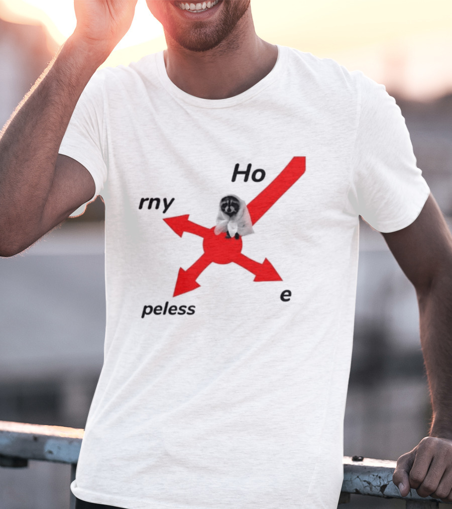Raccoon Meme Ho Rny Peless Compass T-Shirt