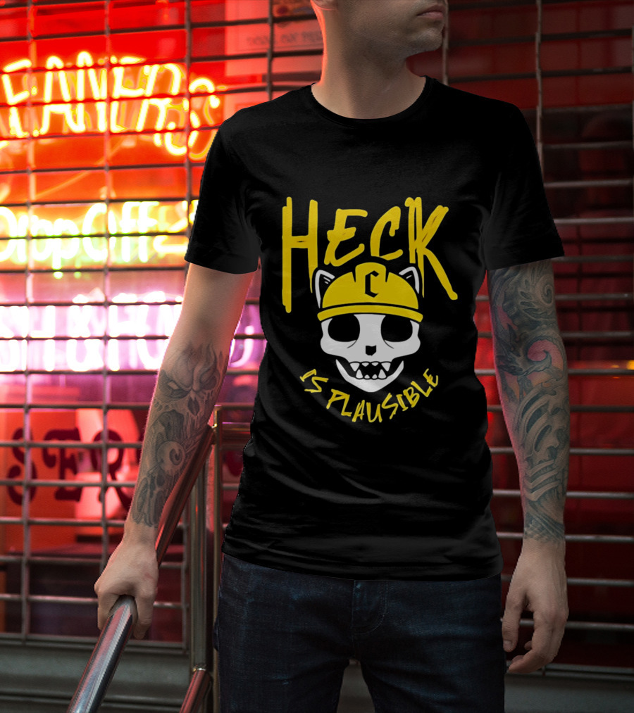Heck Is Plausible Cat Skull Construction Helmet T-Shirt