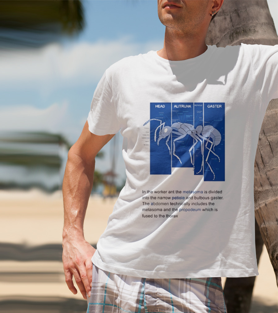 Worker Ant Diagram Head Alitrunk Gaster Metasoma Petiole Biology T-Shirt