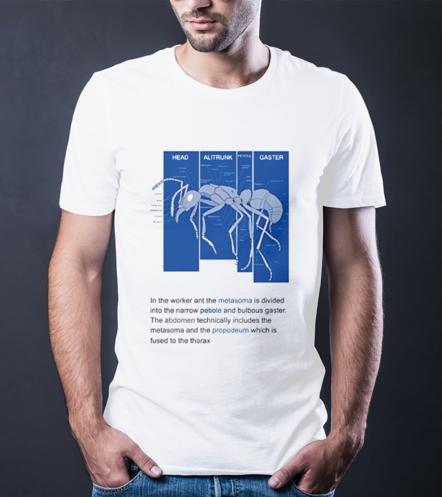 Worker Ant Diagram Head Alitrunk Gaster Metasoma Petiole Biology T-Shirt
