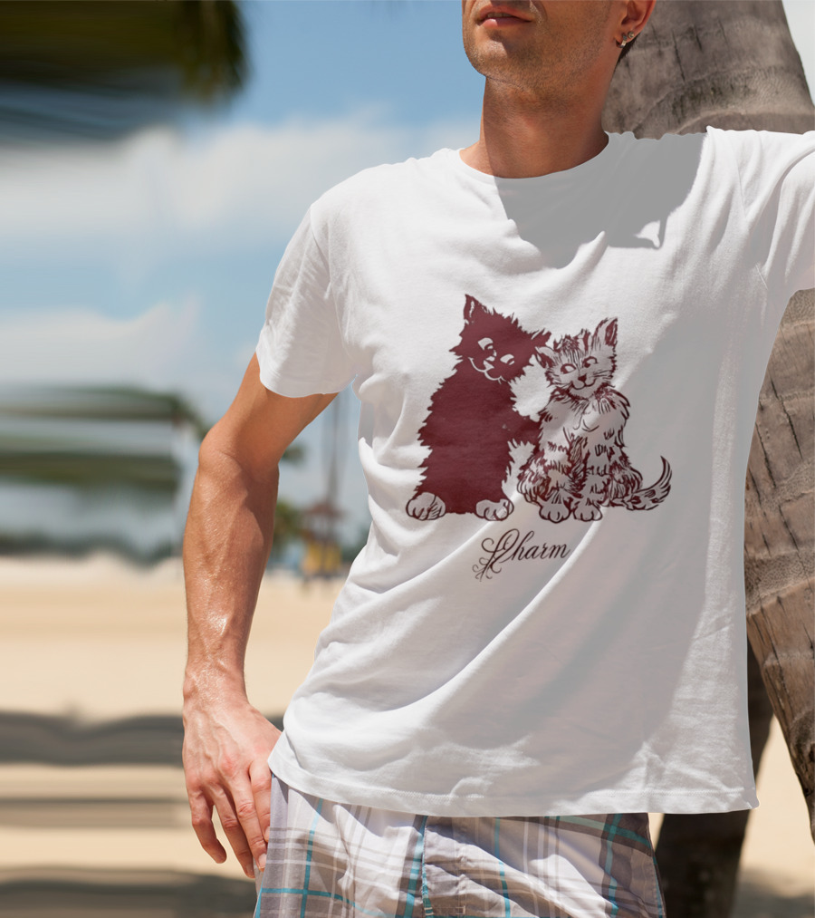 Charm Kittens Cats Hugging T-Shirt