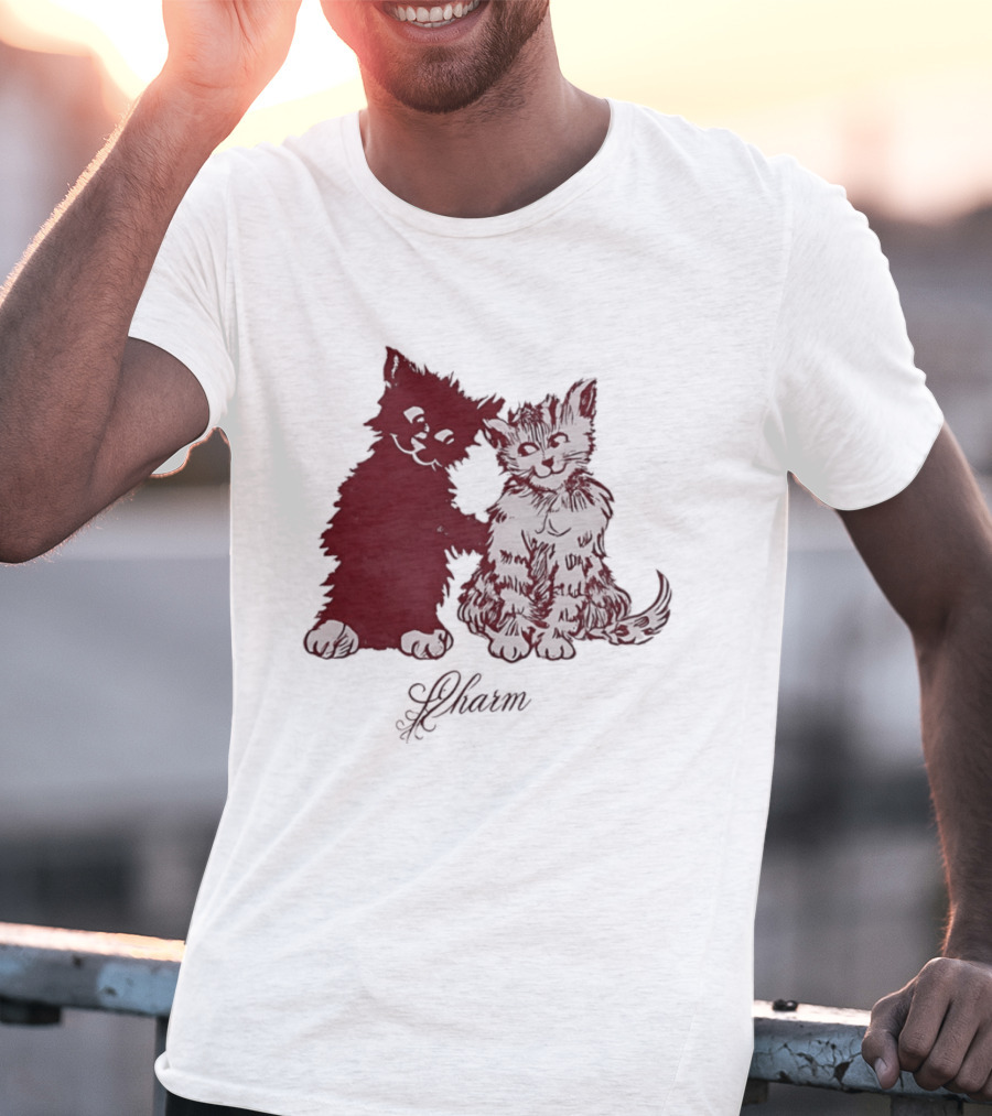 Charm Kittens Cats Hugging T-Shirt