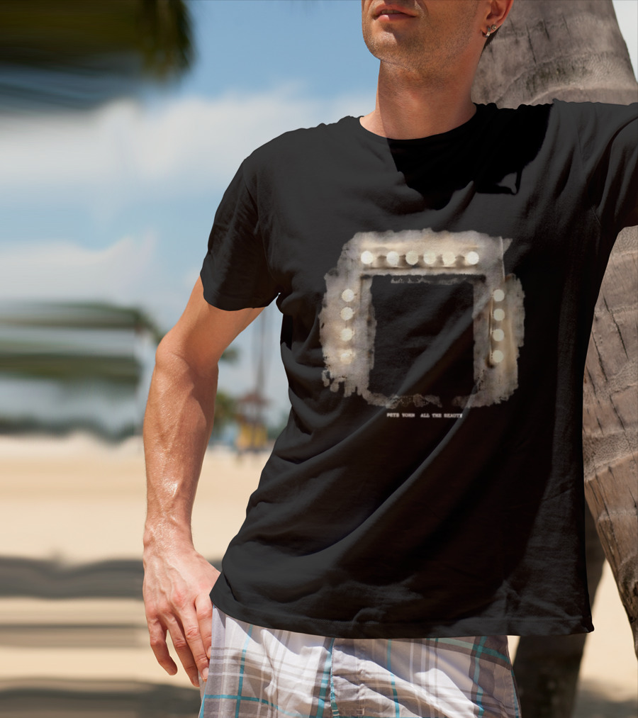 Pete Yorn All The Beauty Music Tour Lighting T-Shirt