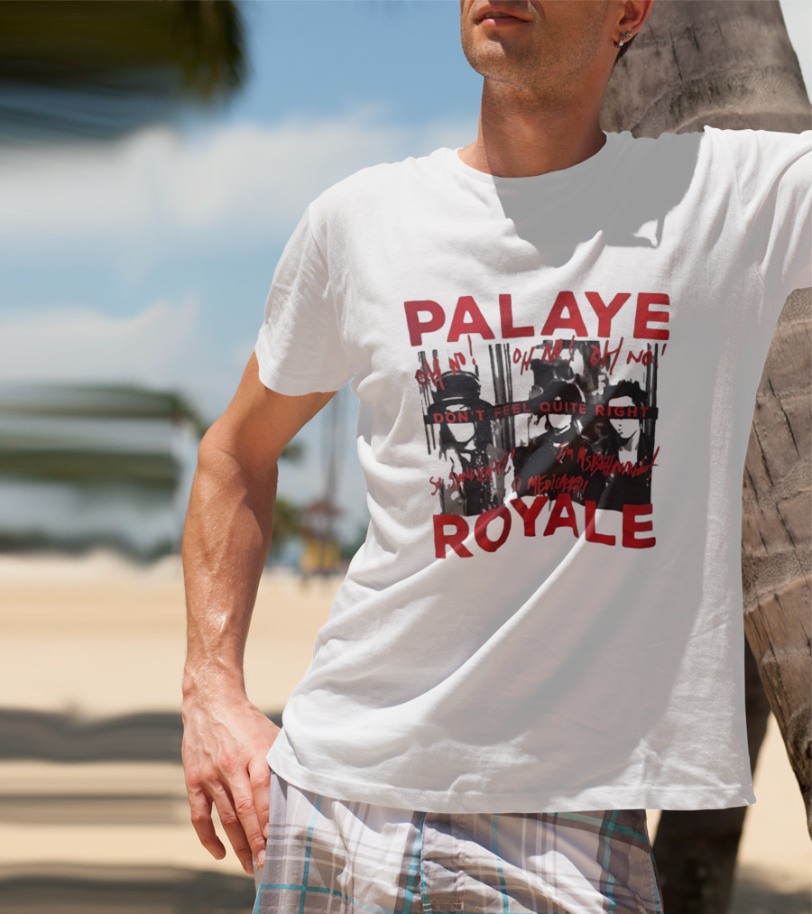 Palaye Royale Don't Feel Quite Right Oh No So Unsatisfied Misunderstood Mediocre T-Shirt
