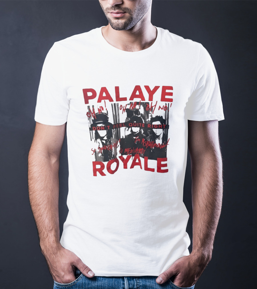 Palaye Royale Don't Feel Quite Right Oh No So Unsatisfied Misunderstood Mediocre T-Shirt