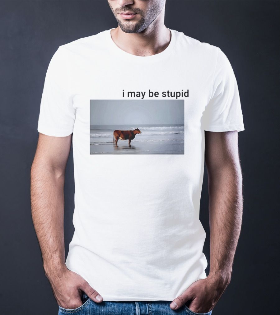 I May Be Stupid Cow At The Beach T-Shirt