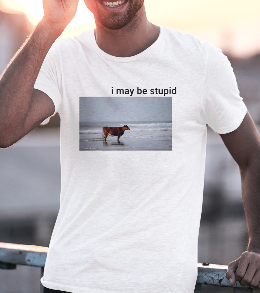 I May Be Stupid Cow At The Beach T-Shirt