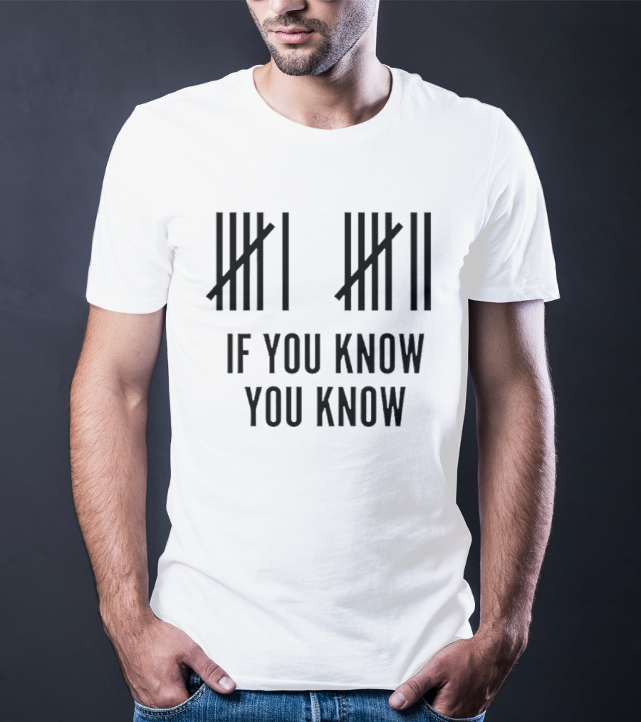 Classic Six Seven Tally Marks If You Know You Know T-Shirt
