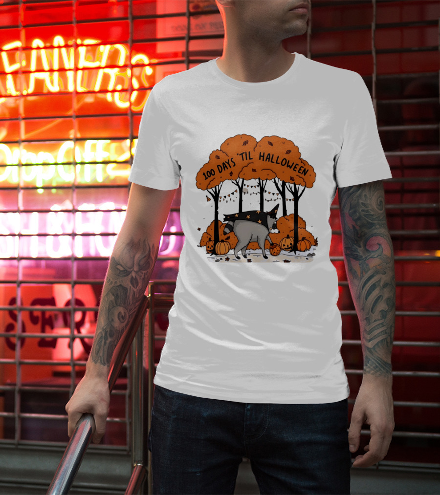 100 Days 'til Halloween Raccoon Wizard Costume In Pumpkin Patch Forest T-Shirt