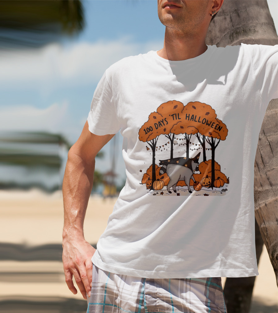 100 Days 'til Halloween Raccoon Wizard Costume In Pumpkin Patch Forest T-Shirt