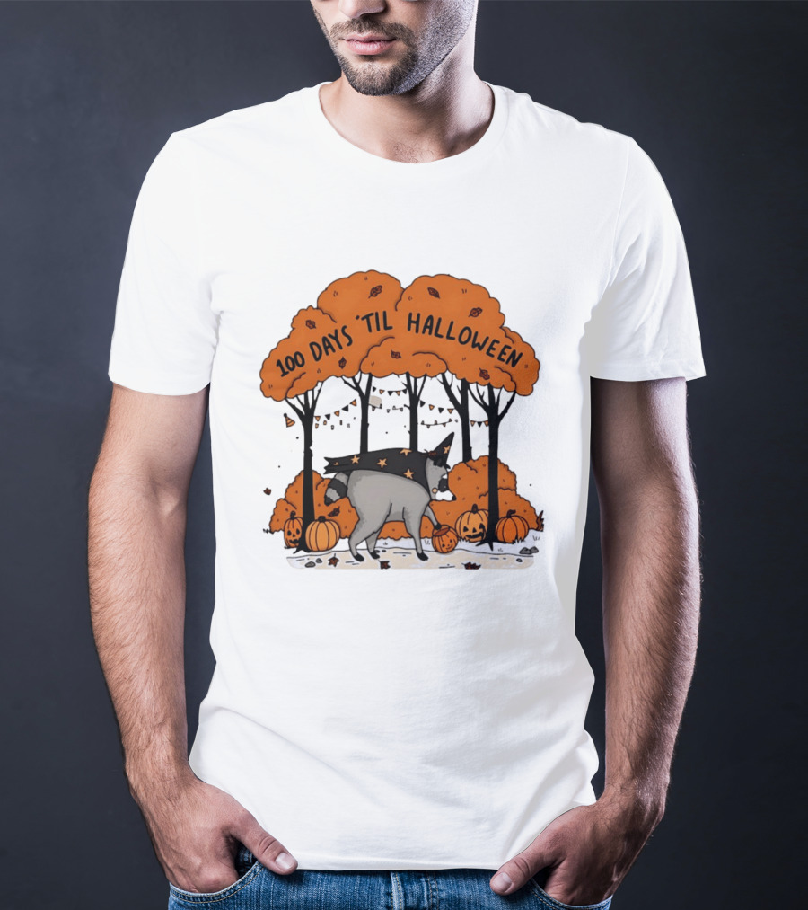 100 Days 'til Halloween Raccoon Wizard Costume In Pumpkin Patch Forest T-Shirt