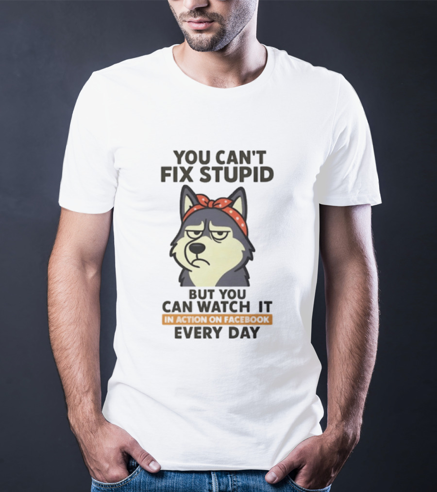You Can't Fix Stupid But You Can It Every Day Husky T-Shirt