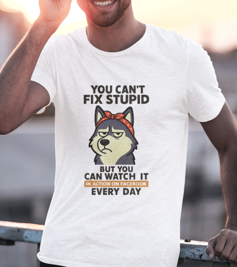 You Can't Fix Stupid But You Can It Every Day Husky T-Shirt