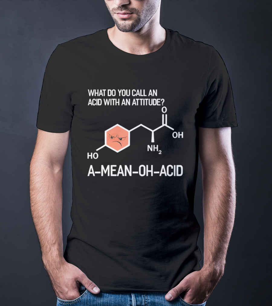 What Do You Call An Acid With An Attitude A Mean Oh Acid Chemistry Pun T-Shirt