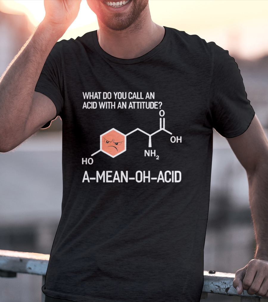 What Do You Call An Acid With An Attitude A Mean Oh Acid Chemistry Pun T-Shirt
