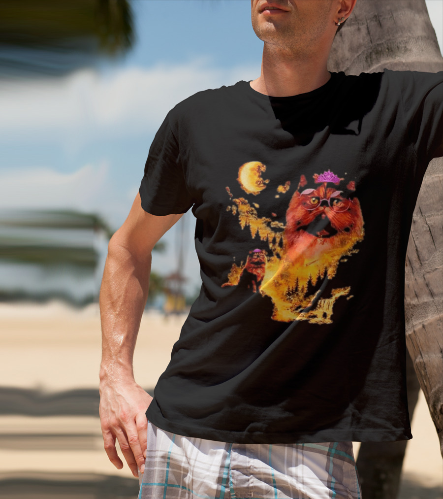 Princess Donut Cat Lover Moon Fantasy T-Shirt