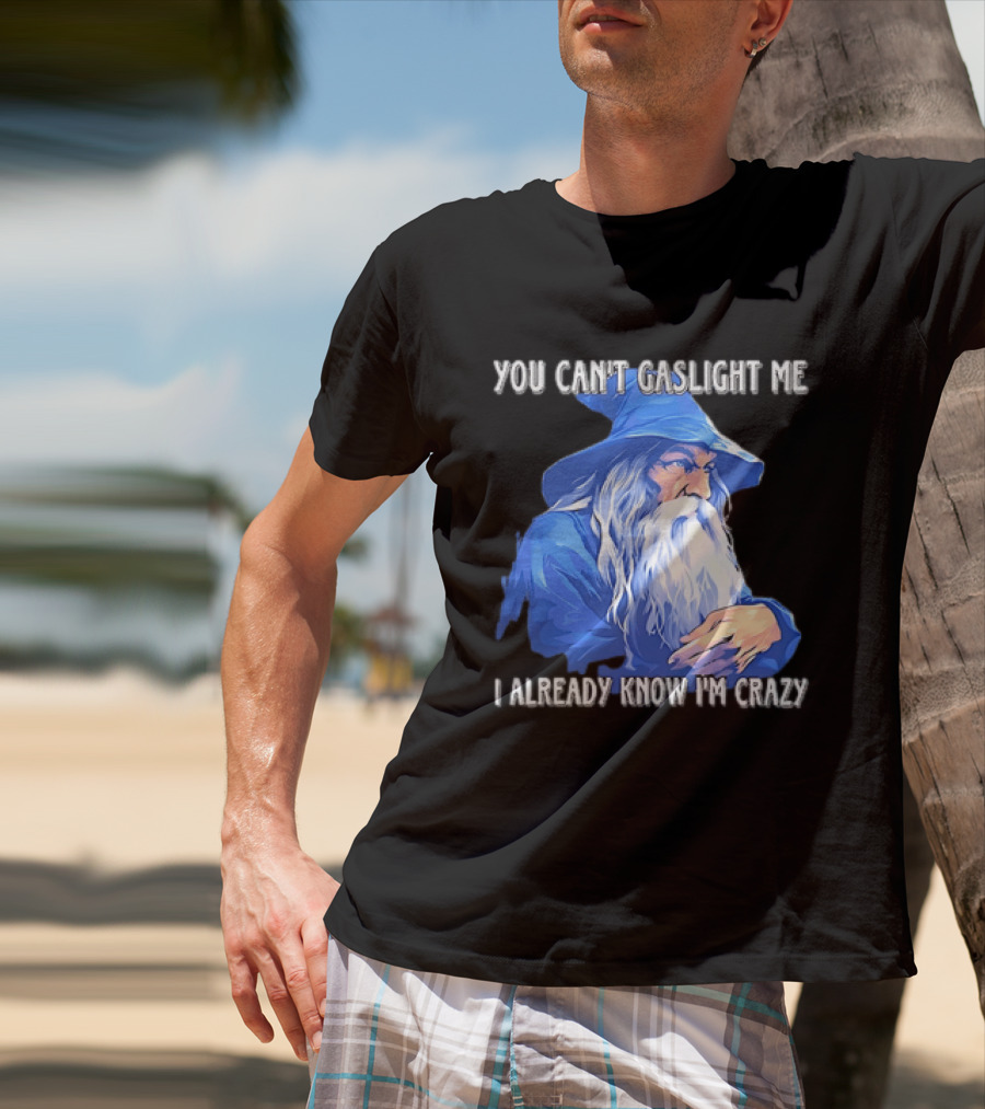 You Can't Gaslight Me I Already Know I'm Crazy Wizard Robe And Hat T-Shirt
