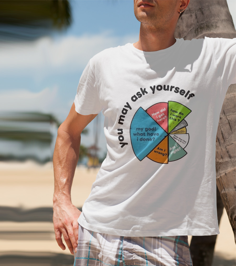 You May Ask Yourself My God What Have I Done How Do I Work This Pie Chart T-Shirt