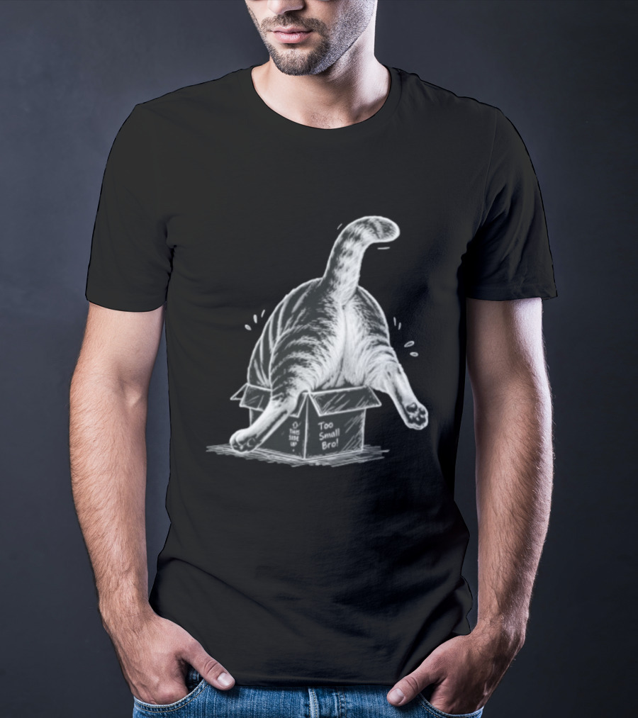 Too Small Bro Tabby Cat Stuck In Box Rear View T-Shirt