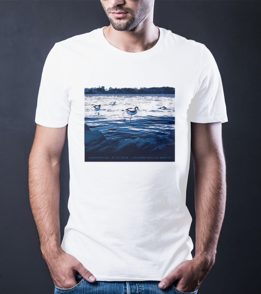 Donnerstag 01.10.2026 Columbiahhalle Berlin Death Cab For Cutie Birds By Water T-Shirt